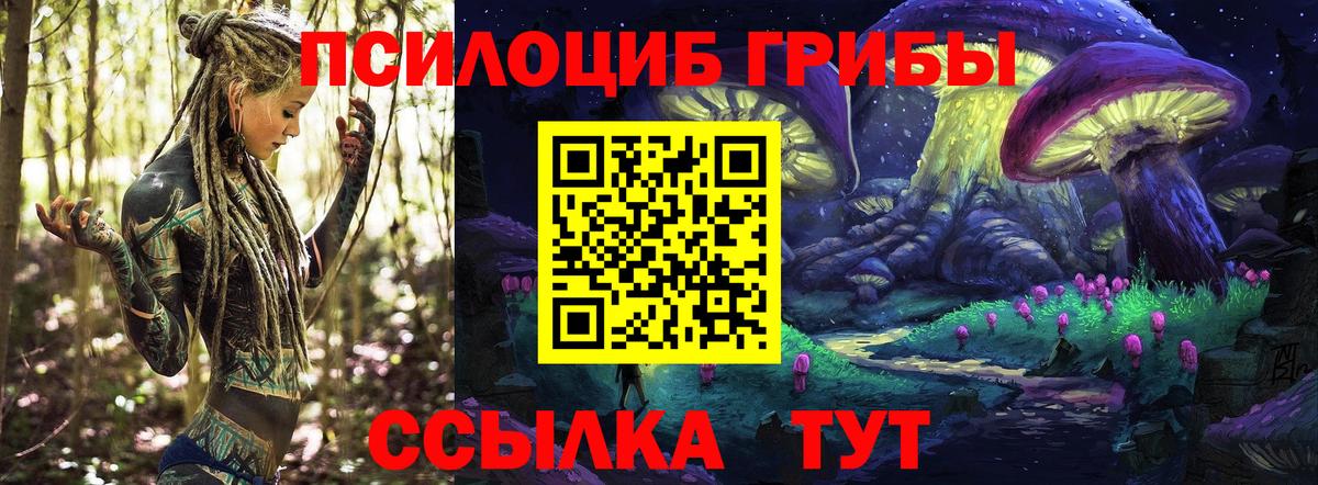 Псилоцибиновые грибы Psilocybine cubensis  Псилоцибиновые грибы прущие грибы  Иваново  Вход с VPN 