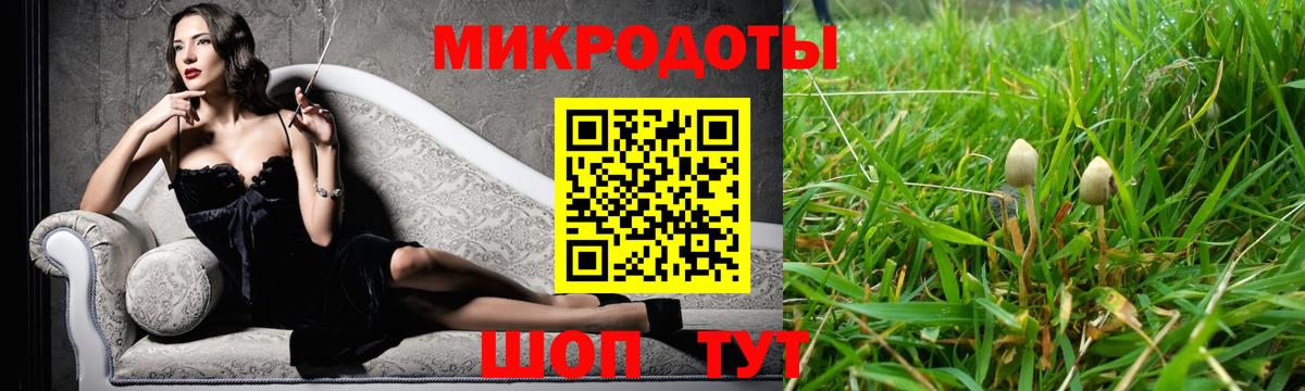 Псилоцибиновые грибы Cubensis Иваново